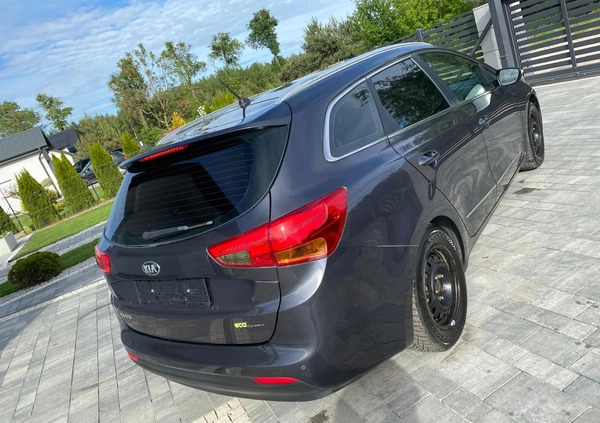 Kia Ceed cena 23900 przebieg: 163900, rok produkcji 2013 z Świecie małe 379
